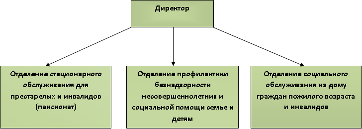 Структура организации