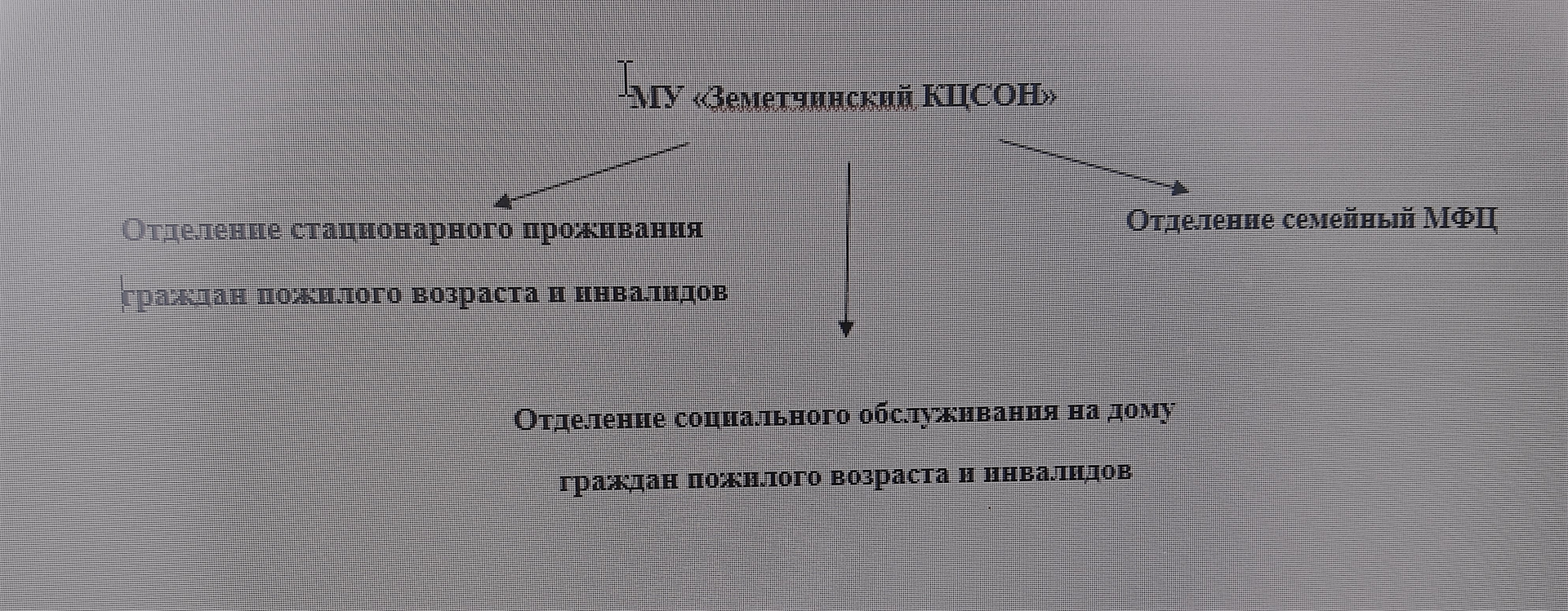 Структура организации